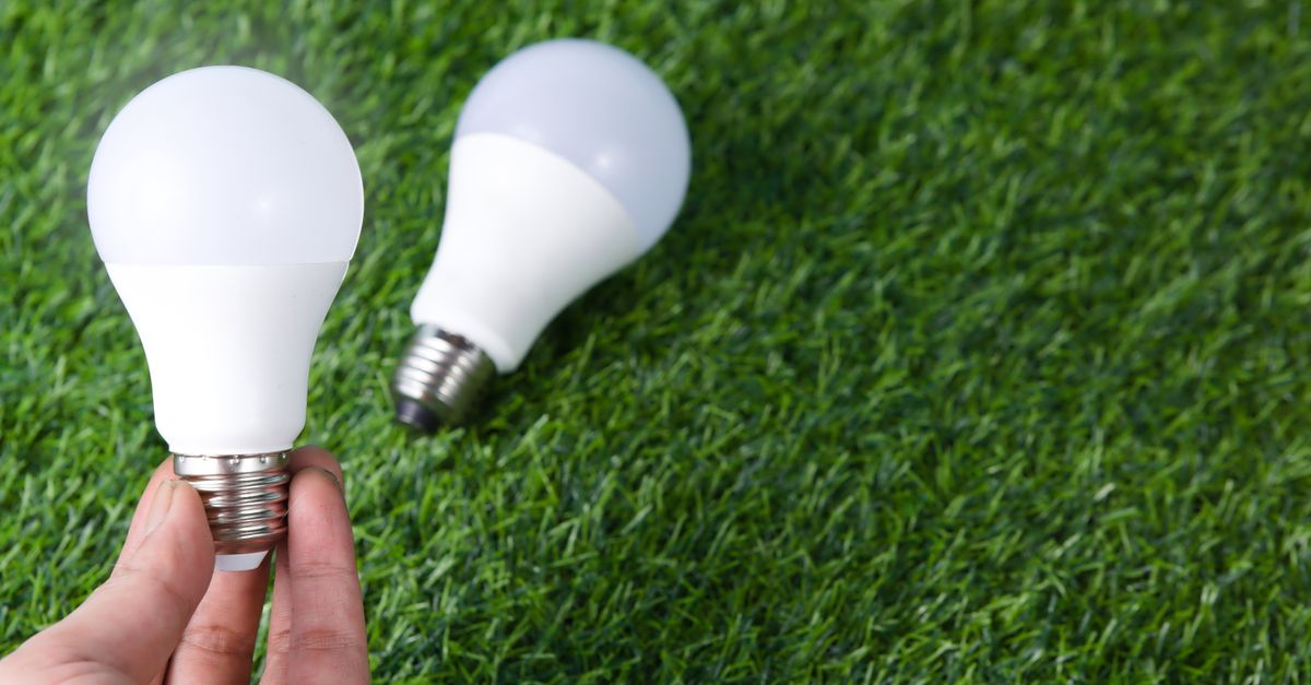Hand holding LED light bulb on a grass surface, representing energy efficiency.