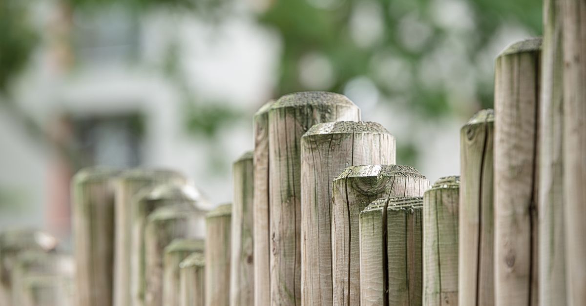 Close-up view of a textured wooden fence against a blurred natural background.