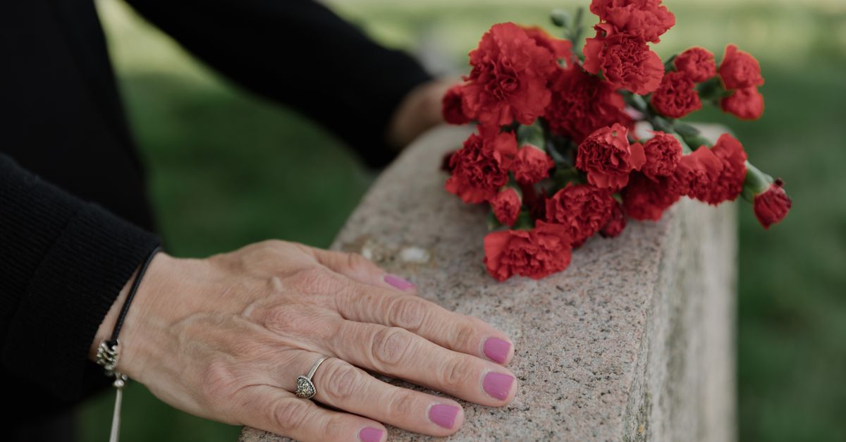 Delicate hands resting on headstone with red carnations, symbolizing remembrance.