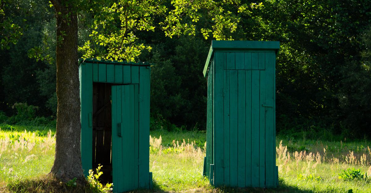 Two green wooden huts in a sunny rural setting surrounded by lush greenery.