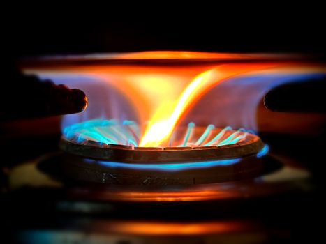 Close-up view of vibrant blue and orange flames on a gas stove burner.