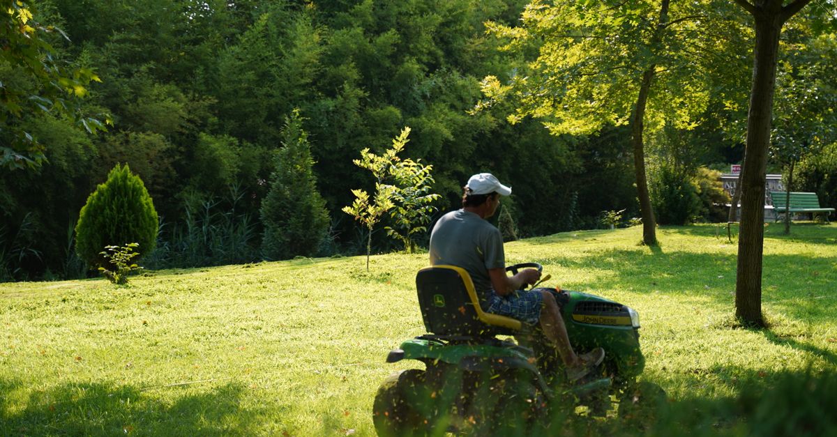 A man operating a lawn mower on a sunny day in a lush green garden, surrounded by trees and foliage.