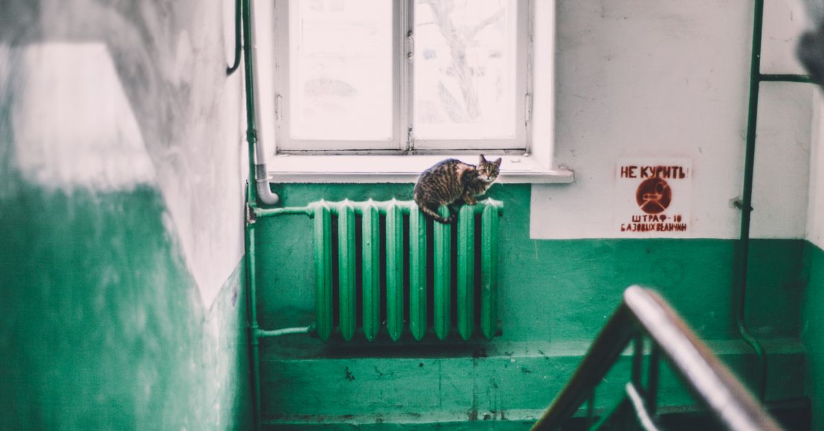 Old stairway in hallway of apartment building with weathered walls and stray cat lying on radiator