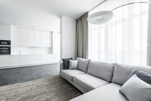 Bright modern living area featuring a cozy sofa and minimalist kitchen background.